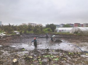 连山河道鱼塘清淤